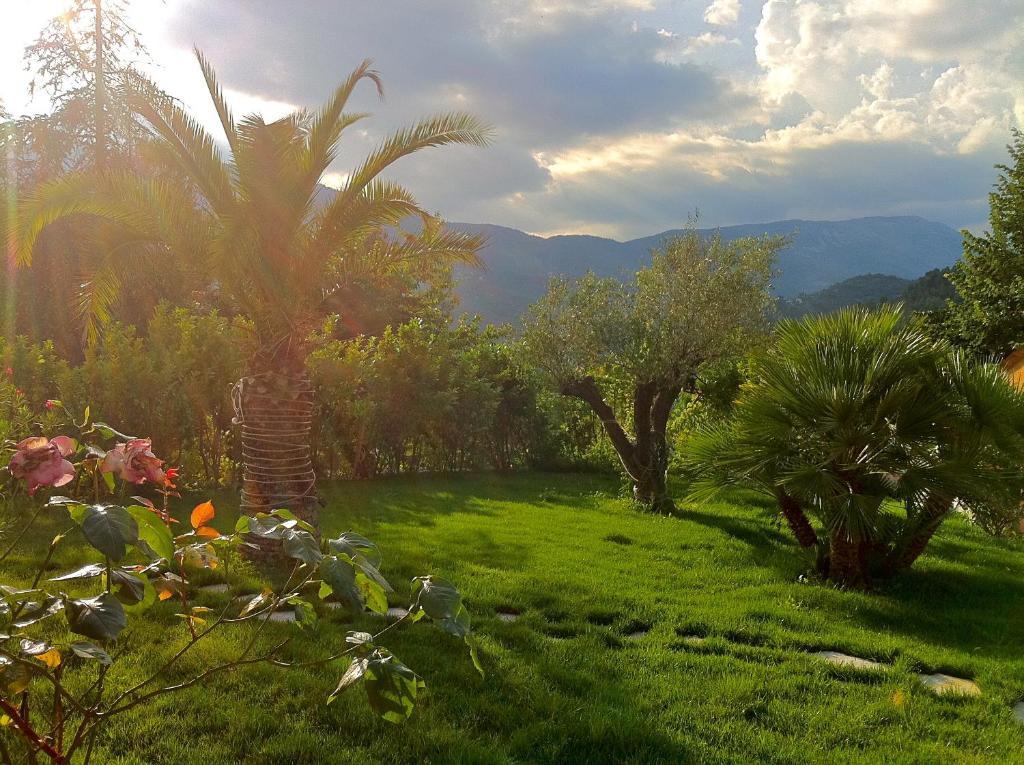 Villa Cyriel Contes  Bagian luar foto